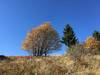 Balises de couleur Oct 2017 - Lac Blanc 4